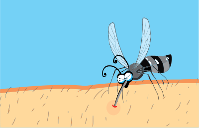 Mosquito Bites clipart