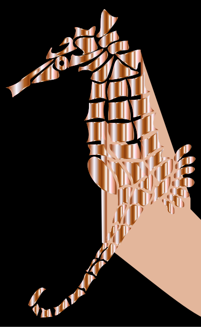 Mother Of Pearl Stylized Seahorse Silhouette clipart