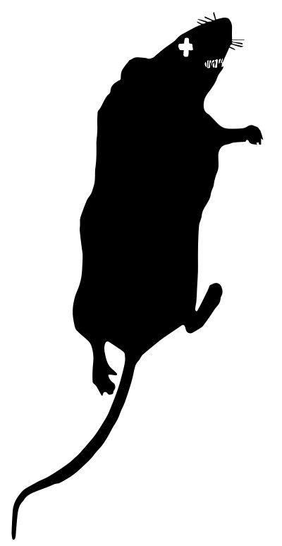 Mouse Dead clipart