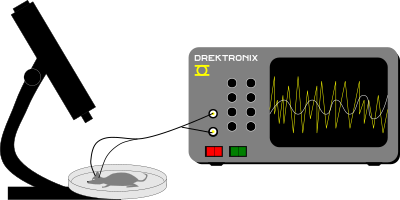 Mouse EEG clipart