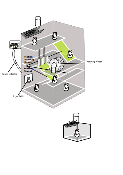 Mouse Experiment clipart