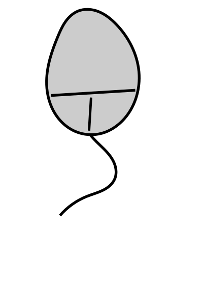 Mouse Pc clipart