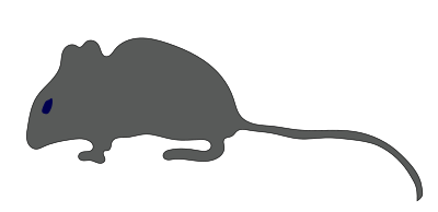 Mouse2 clipart