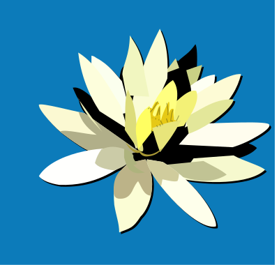Ninfeia clipart