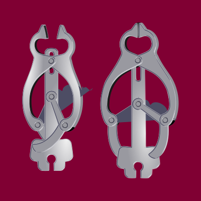 Nipples Clips clipart