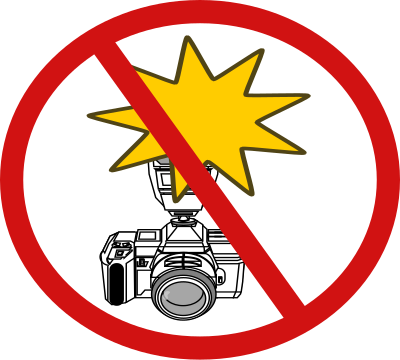 No Flash Photography clipart