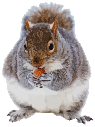 Nom squirrel clipart