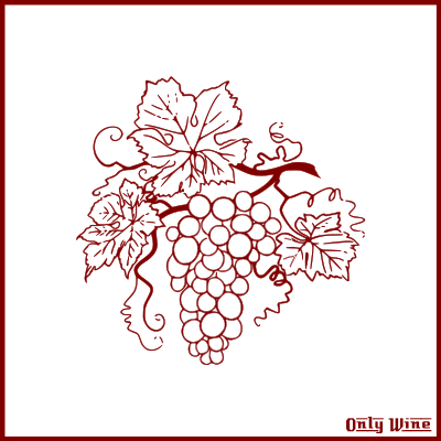 Only Wine 158 clipart