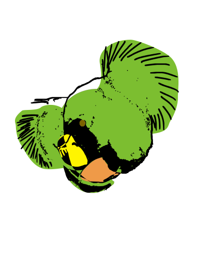 Optical illusion bird koala clipart