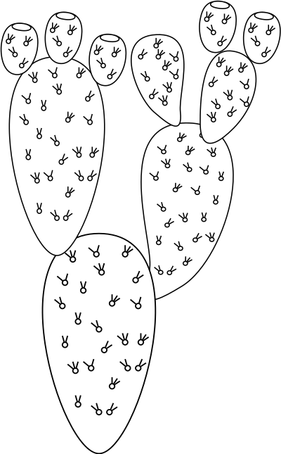 Opuntia ficus-indica clipart
