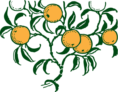 Orange branch clipart
