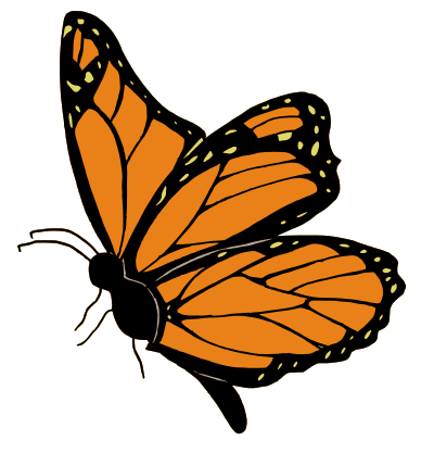 Orange butterfly clipart