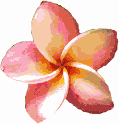 Orange Flower clipart