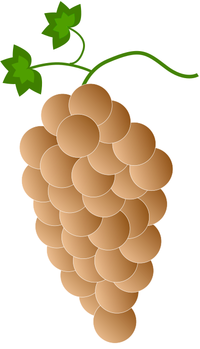 Orange grapes clipart