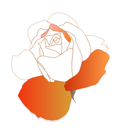 Orange Rose clipart