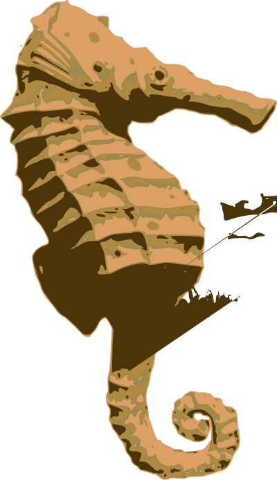 Orange Seahorse clipart