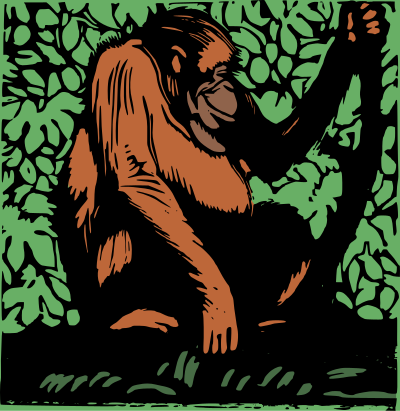 Orangutan clipart