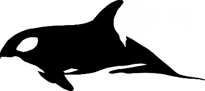 Orca clipart