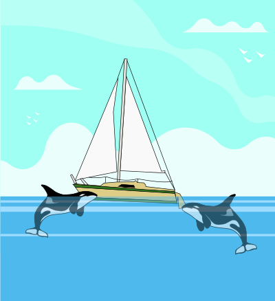 Orcas Attacking a Sailboat clipart