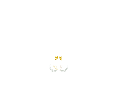 Orchid clipart