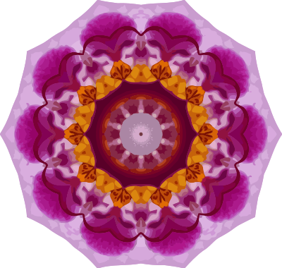 Orchid kaleidoscope 5 clipart