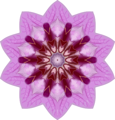 Orchid kaleidoscope 7 clipart