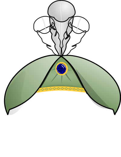 Oriental Hat 2 clipart