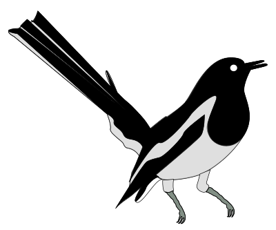 Oriental Magpie Robin clipart