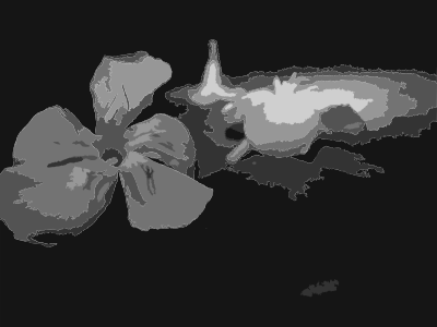 Original Aiflowers 404 clipart