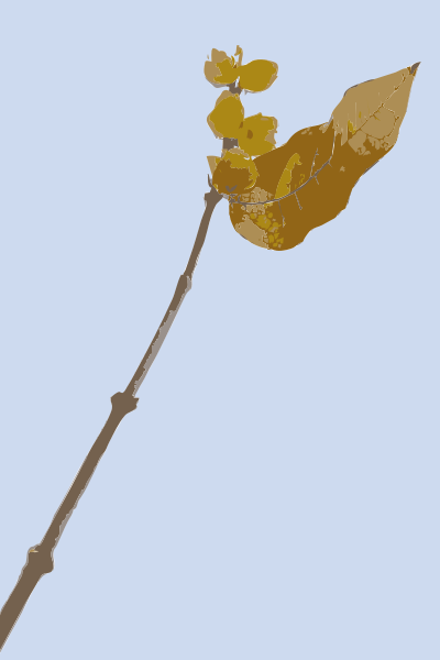 Original Aiflowers 413 clipart