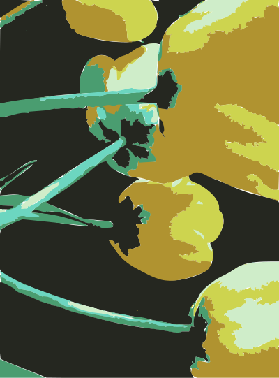 Original Aiflowers 471 clipart