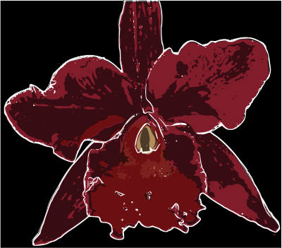 Orquídea 2 clipart