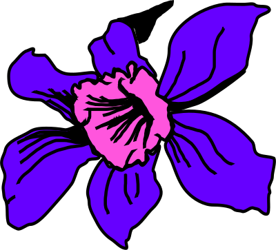 Orquidea colombia clipart