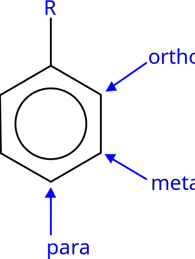 Ortho Meta Para clipart
