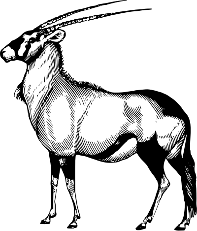 Oryx clipart