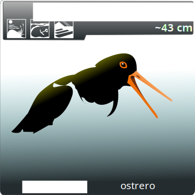 Ostrero clipart