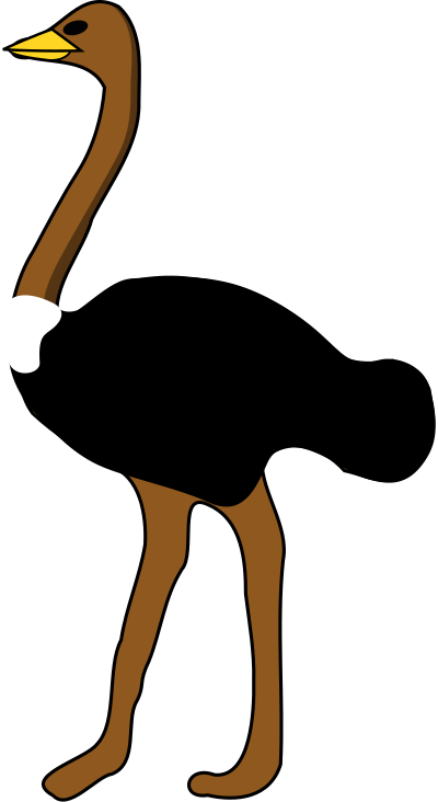 Ostrich clipart