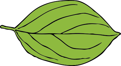 Oval leaf 2 clipart