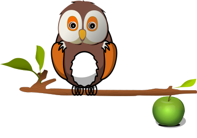 Owl on branch clipart