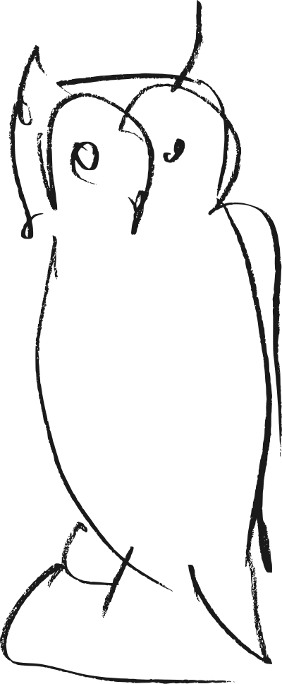 Owl, outline clipart