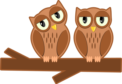 Owls on a branch clipart