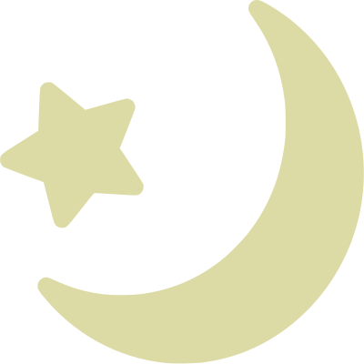 Pale Moon And Star icon clipart