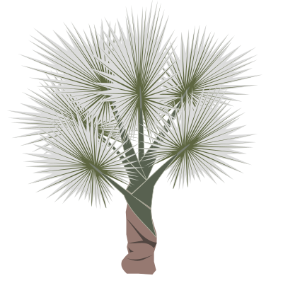 Palm-01 clipart