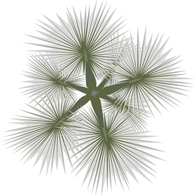 Palm-01a clipart