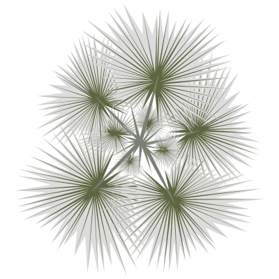 Palm-01b clipart