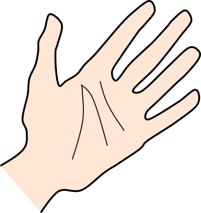 Palm by Rones clipart