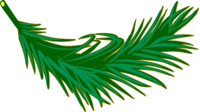 Palm frond clipart