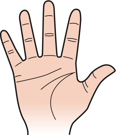 Palm of hand clipart