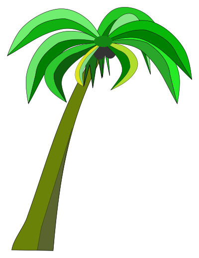 Palm or Coconut Tree clipart