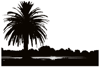 Palm Sunset Silhouette clipart
